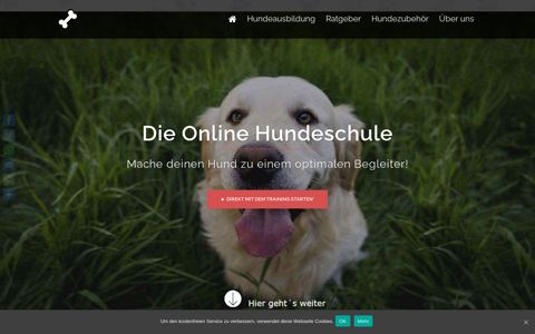 Hundeerziehung & Hundetraining in der Online Hundeschule