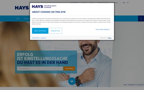 Hayscareer: Hays interne Karriere – Jobs im Vertrieb ...
