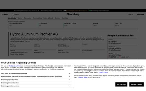 Hydro Aluminium Profiler AS - Company Profile and News ...
