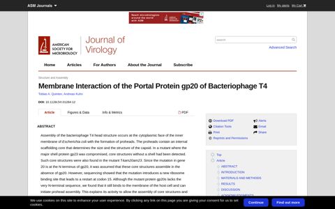 Membrane Interaction of the Portal Protein gp20 of ...