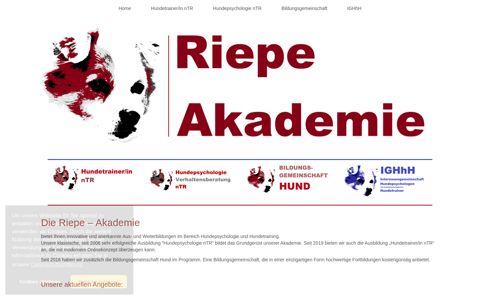 Riepe Akademie - Innovative Bildung - Home