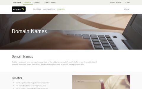 Domain Name - Etisalat UAE