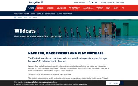 Wildcats - Derbyshire County FA