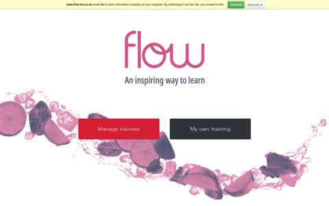 Flow (Manager)