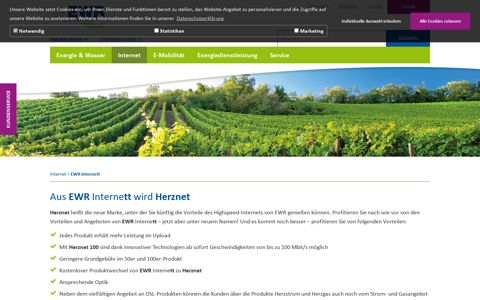 EWR Internett - EWR AG