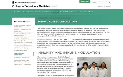 Soboll Hussey Laboratory | College of Veterinary Medicine at ...