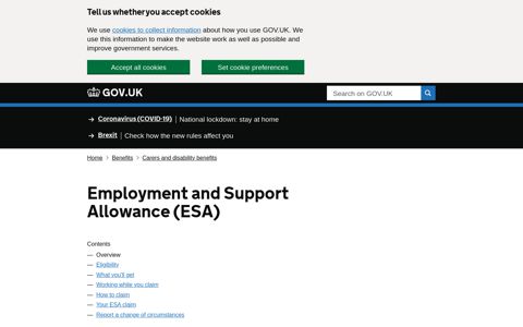 Employment and Support Allowance (ESA) - GOV.UK