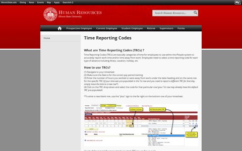 Time Reporting Codes | Human Resources - Illinois State