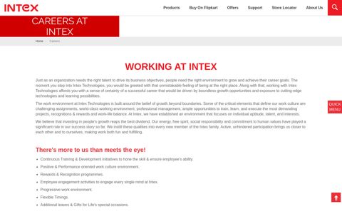 Careers - Intex