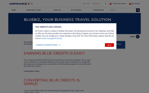 BlueBiz Air France