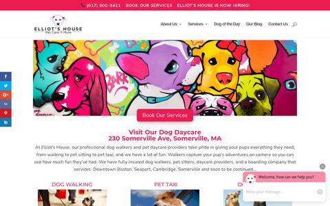 Elliot's House | dog walking doggie daycare Boston ...