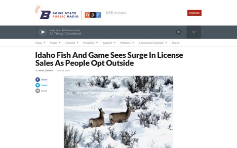 Idaho Fish And Game Sees Surge In License Sales As People ...