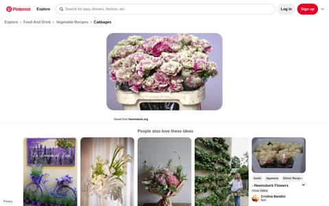 Webshop Login | Vegetables, Heemskerk, Cabbage - Pinterest