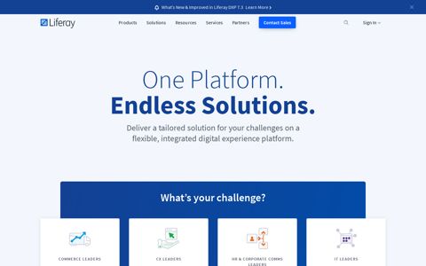 Liferay: Digital Experience Software Tailored to Your Needs