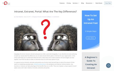 Intranet, Extranet, Portal: What Are The Key Differences?
