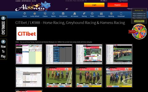 Horse Racing | CITIbet | LK988 | AAstar - Ali88win