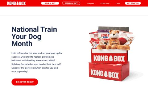 KONG Box: Monthly Dog Subscription Box