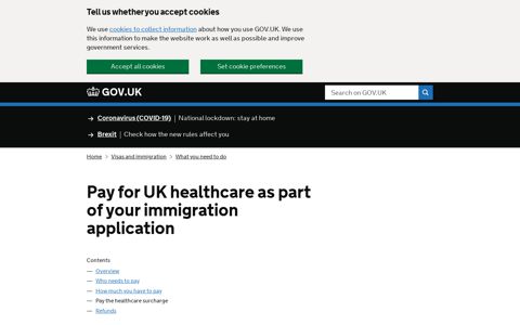 Pay the healthcare surcharge - Gov.uk