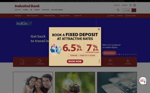 IndusInd Bank: Personal Banking, NRI Banking, Personal ...