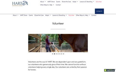 Volunteer - HART FOR HORSES