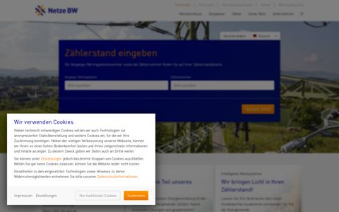 Ihre Zählerstandseingabe - Netze BW GmbH