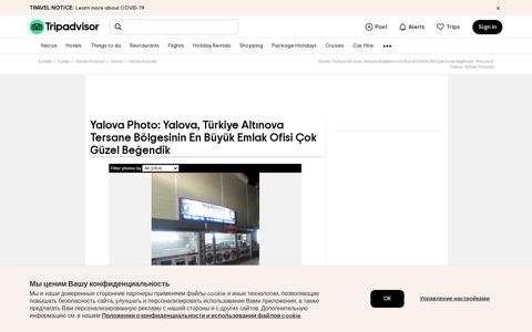 Yalova, Türkiye Altınova Tersane Bölgesinin En Büyük Emlak ...