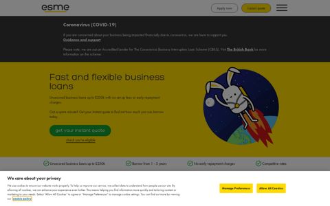 Esme Loans: Business Loans - get financing for your business