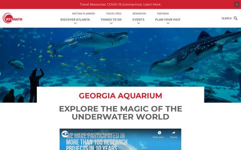 Georgia Aquarium in Atlanta - Get Insider Tips and Ticket ...