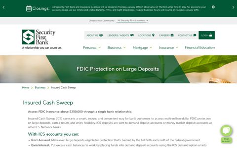 ICS Account and Deposit Options | Security First Bank