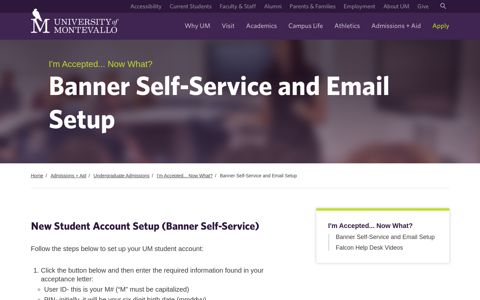 Banner Self-Service and Email Setup - The University of ...