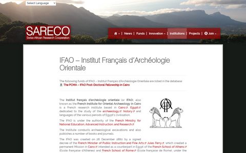 IFAO - Institut Français d'Archéologie Orientale | SARECO
