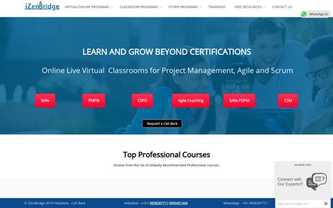 iZenBridge: Professional Online Live Certification Training ...