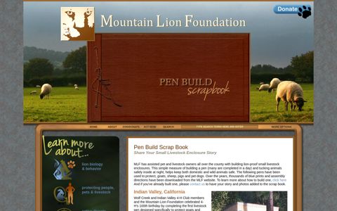 MLF PORTAL: Predator Proof Pen Scrapbook - Mountain Lion ...