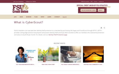 What is CyberScout? – FSUCU.org