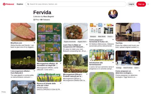 10+ Fervida ideas | composting methods, organic gardening ...
