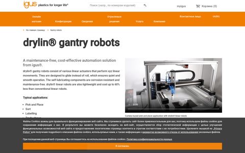 drylin® gantry robots | igus®