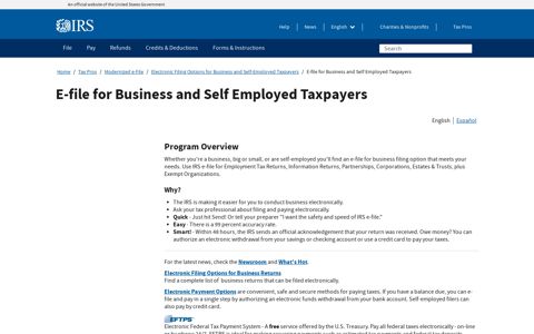 E-file for Business and Self Employed Taxpayers | Internal ...