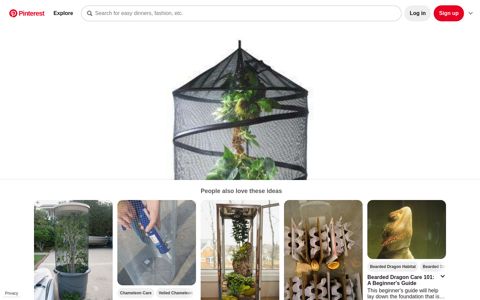 Exo Terra Explorarium, hanging reptile terrarium, ideal for ...