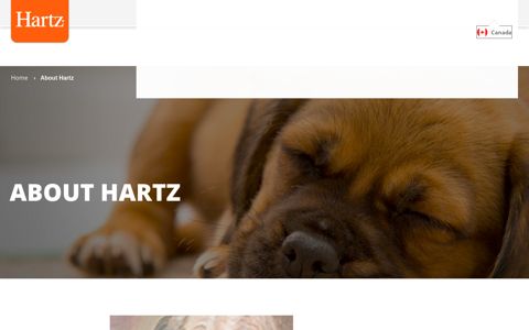About Hartz - Hartz