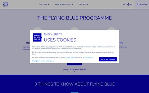 the flying blue programme