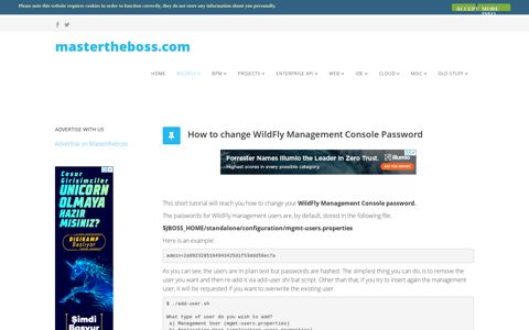 How to change WildFly Management Console Password