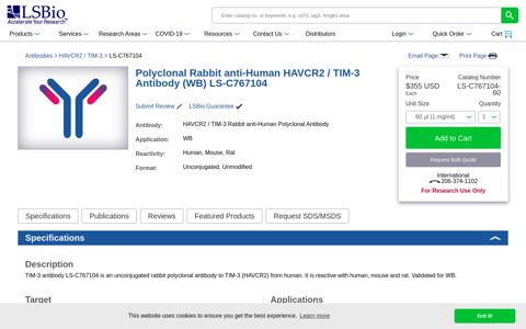 Anti-HAVCR2 / TIM-3 Antibody | Rabbit anti-Human Polyclonal WB ...