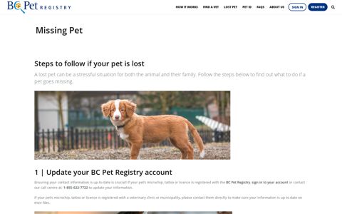Missing Pet | BC Pet Registry