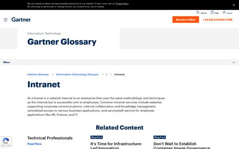 Definition of Intranet - Gartner Information Technology Glossary