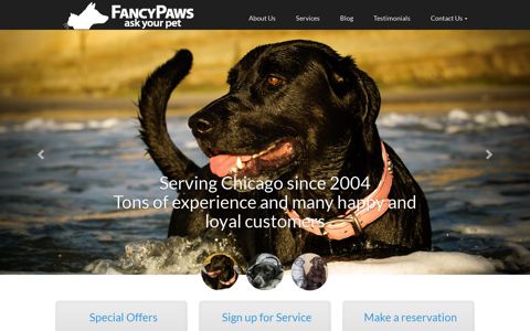 Chicago Dog Walking | Chicago Dog Walkers - Fancy Paws
