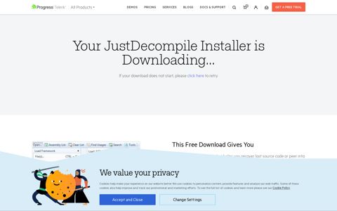 Your JustDecompile Installer is Downloading... - Telerik
