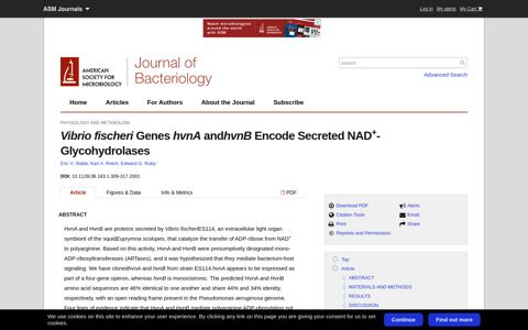 Vibrio fischeri Genes hvnA andhvnB Encode Secreted NAD+- ...