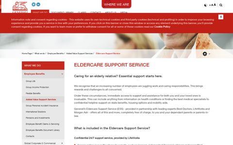 Eldercare Support Service - Home Page - Generali