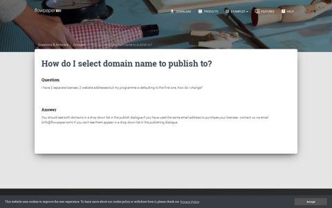 How do I select domain name to publish to? - FlowPaper