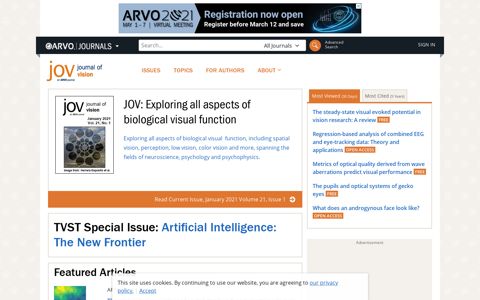 Journal of Vision - ARVO Journals
